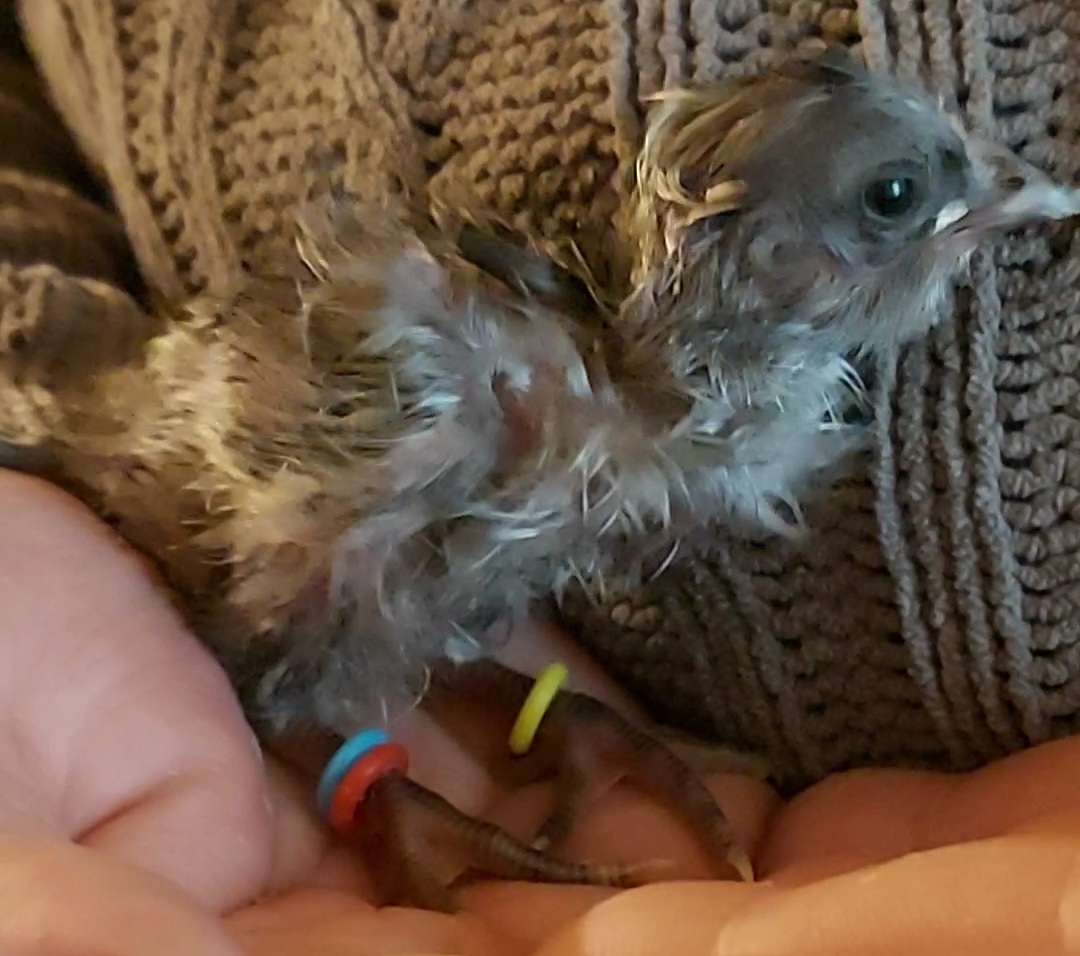 Photo prise le 2023-03-30