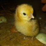 Photo prise le 0000-00-00