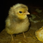 Photo prise le 0000-00-00