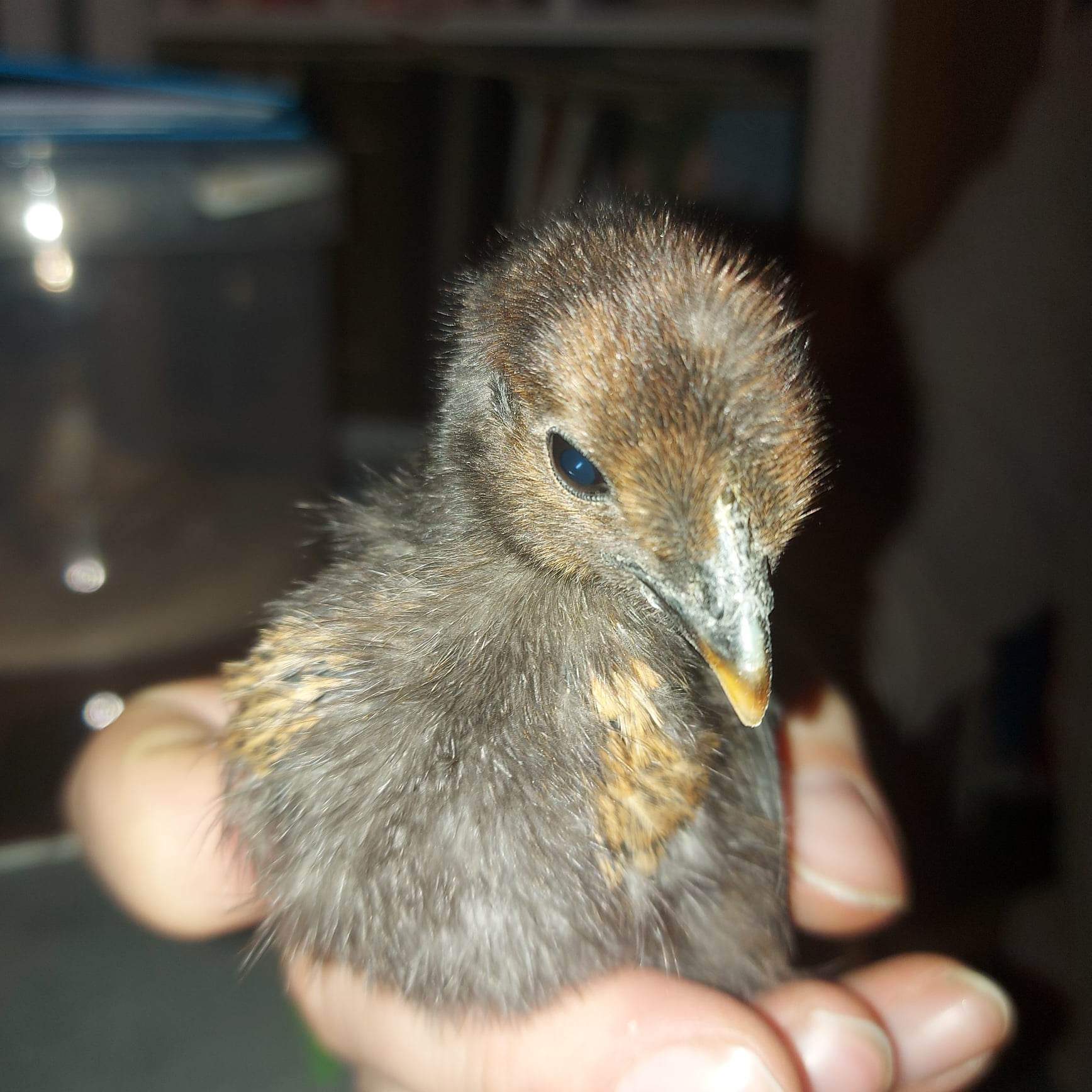 Photo prise le 2023-02-17