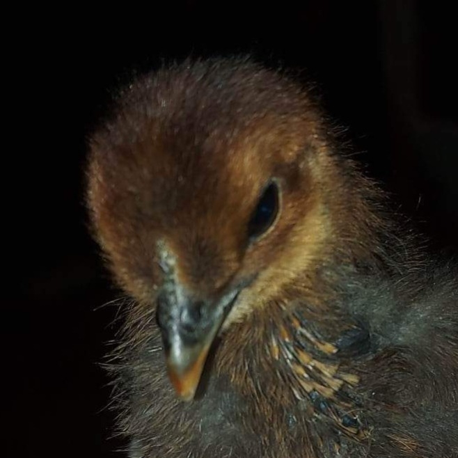 Photo prise le 2023-02-17