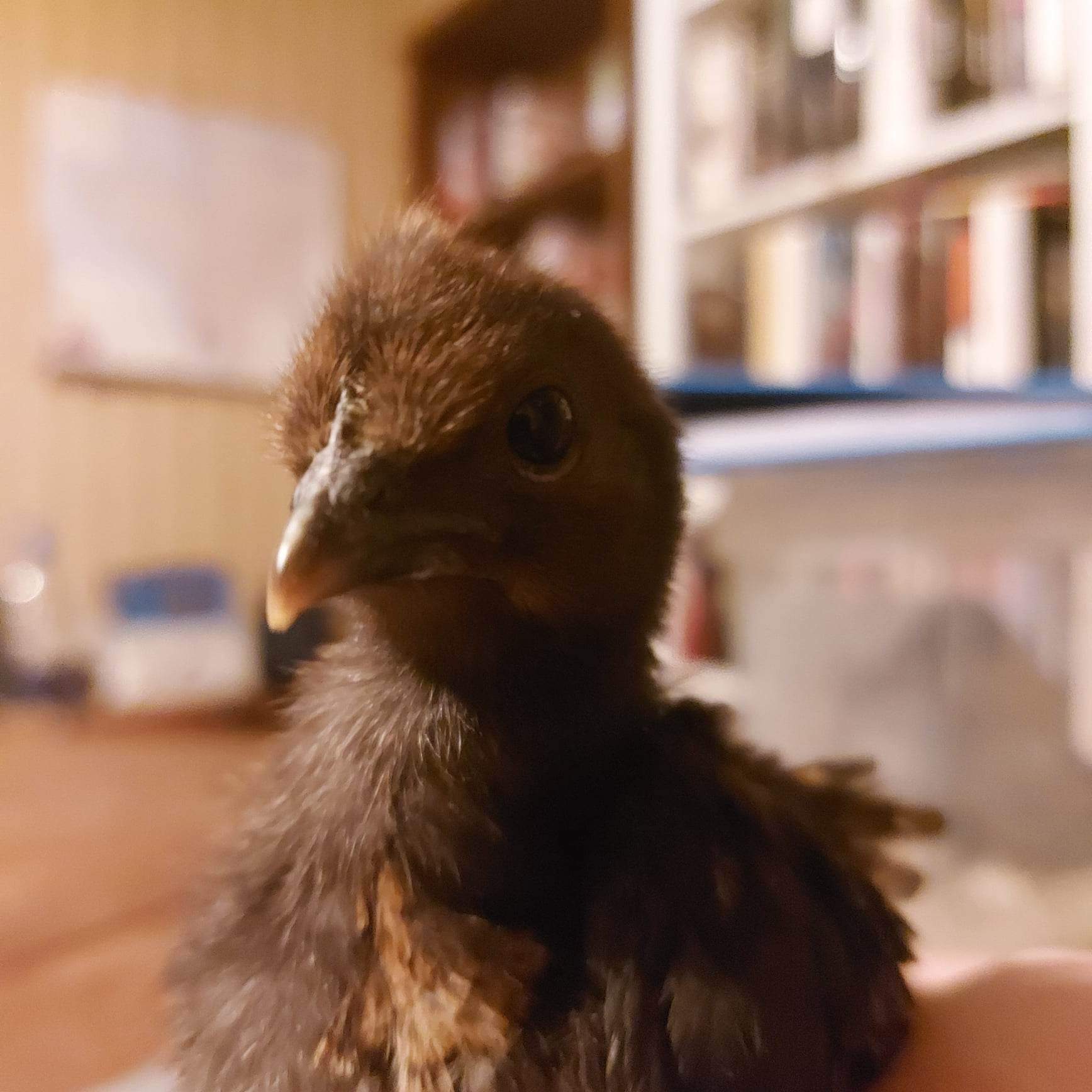 Photo prise le 2023-02-17