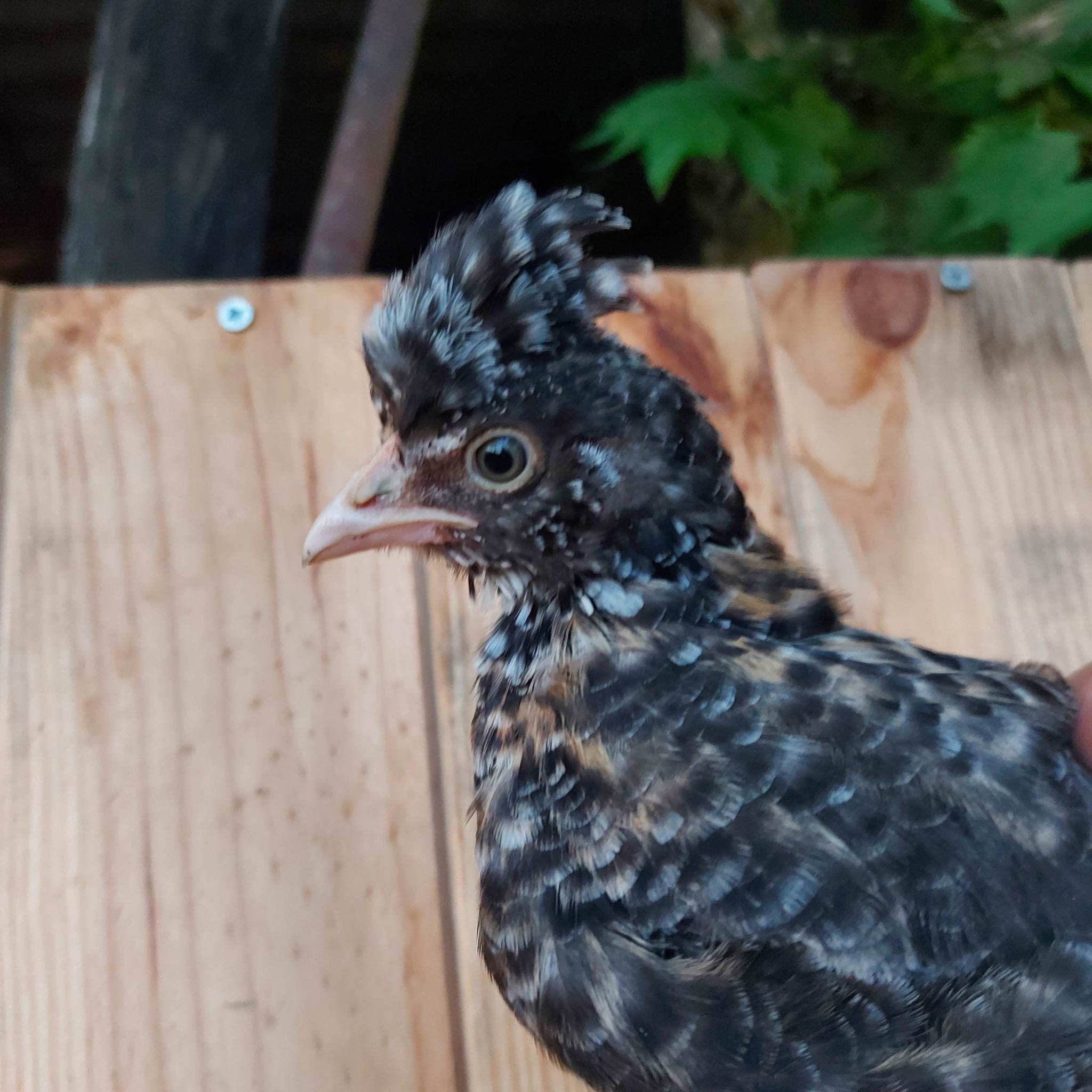 Photo prise le 2023-06-11