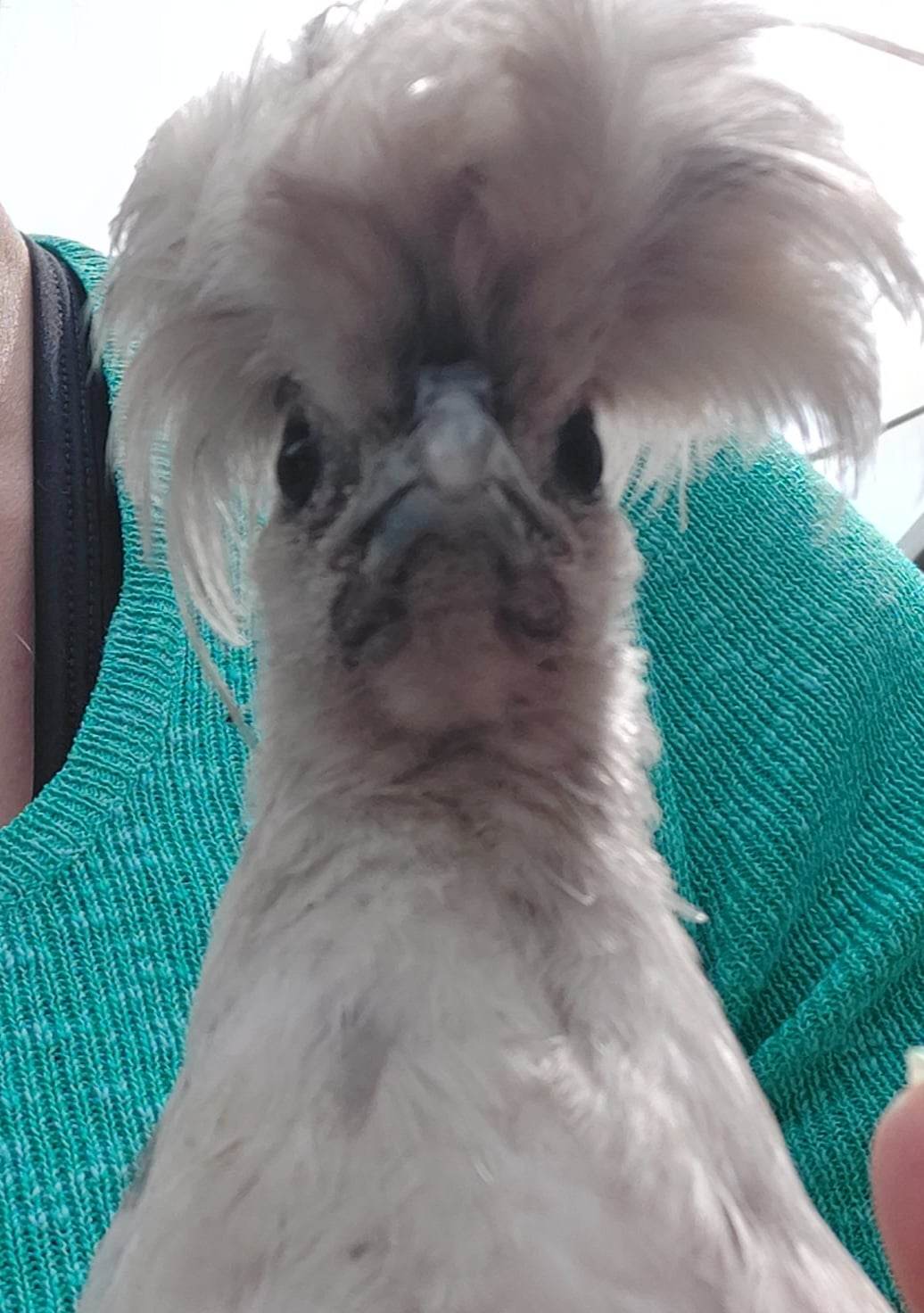 Photo prise le 2023-05-21